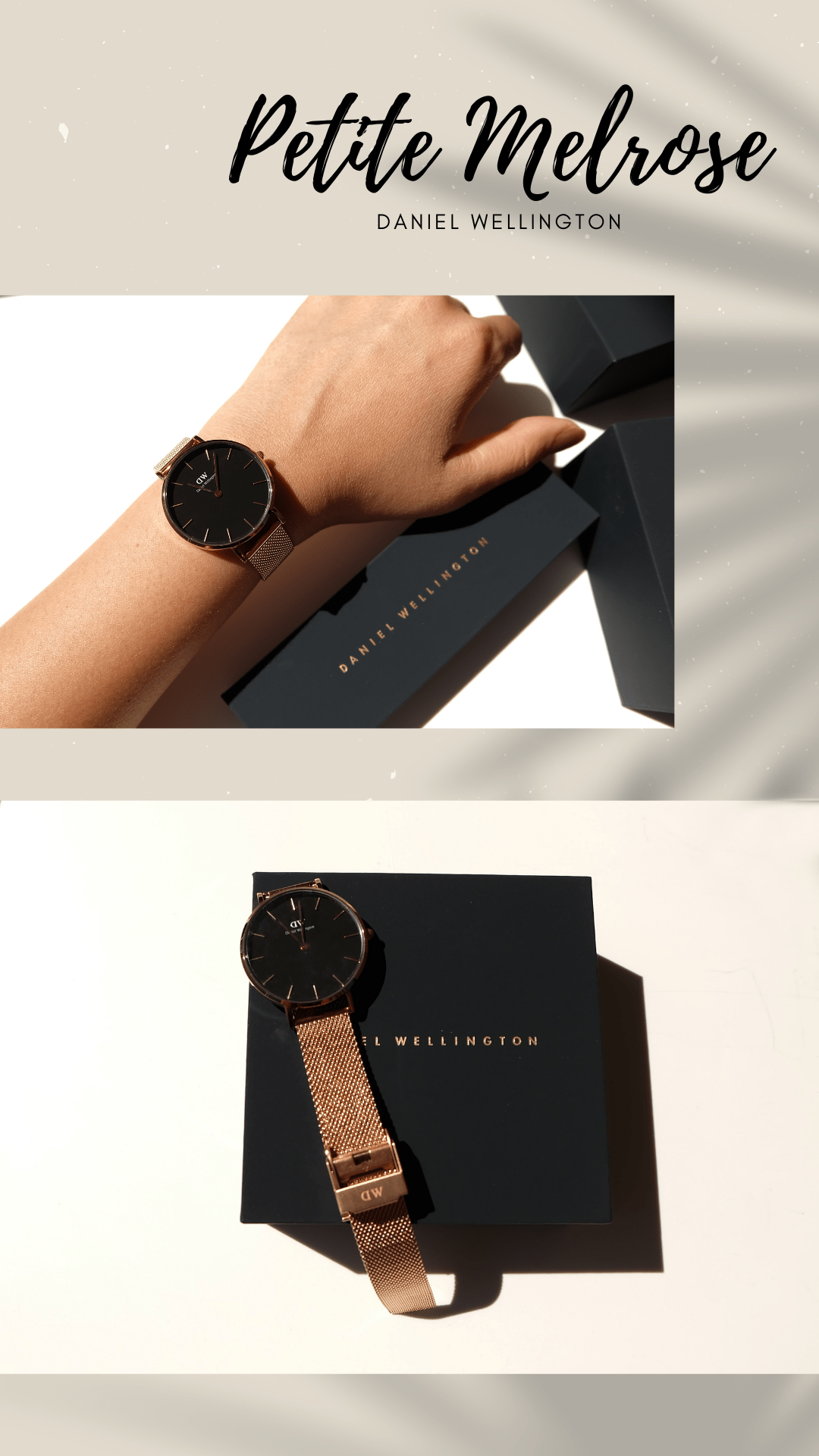 Daniel wellington top size comparison